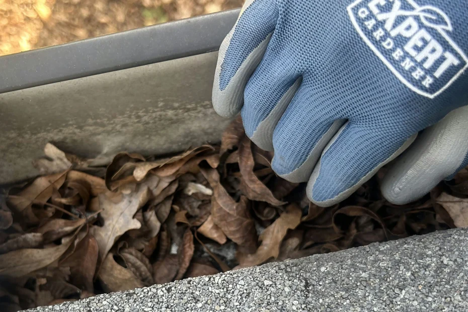 Fleet Gutter Cleaning